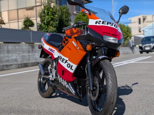 �z���_NS-1�i�����������s�j�摜6