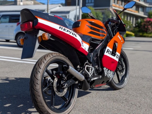 �z���_NS-1�i�����������s�j�摜9