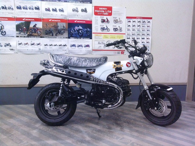 �z���_�_�b�N�X125�i���m�����m�s�j�摜1