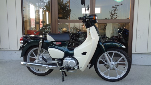 �z���_�X�[�p�[�J�u110�i���m���썑�s�j�摜3