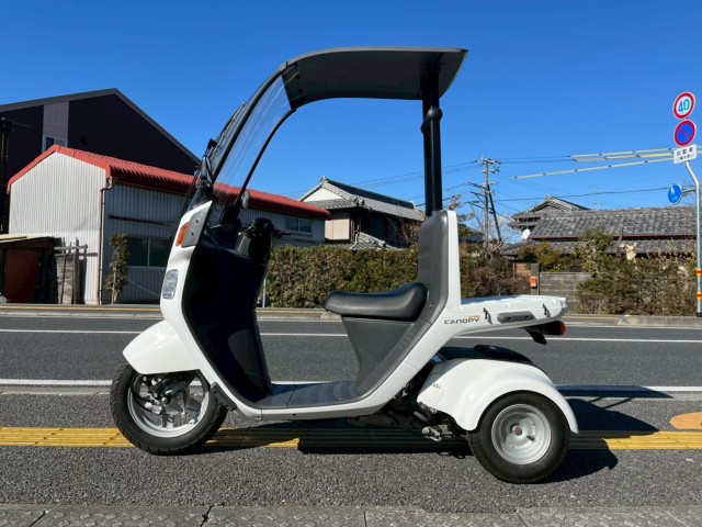 �z���_�W���C���L���m�s�[�i���m�����m�s�j�摜2