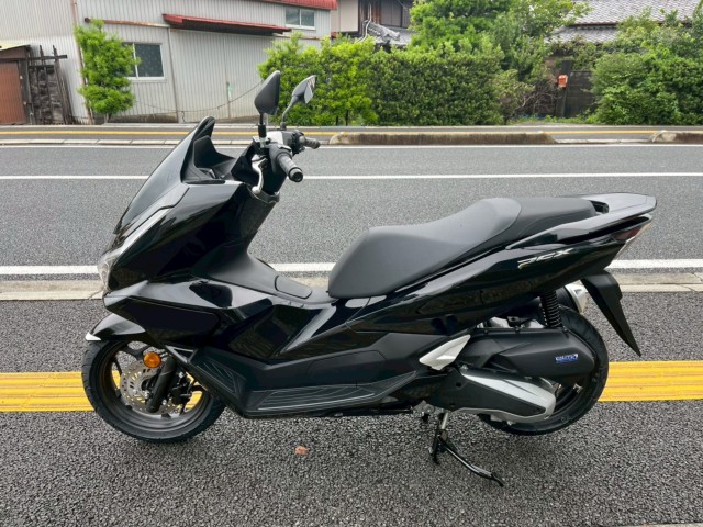 �z���_PCX�i���m�����m�s�j�摜2