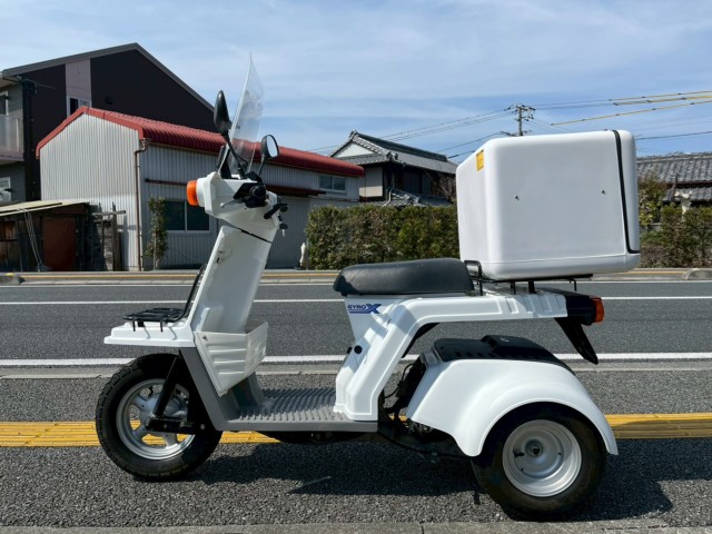 �z���_�W���C��X�i���m�����m�s�j�摜2