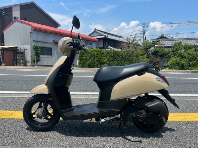 �X�Y�L���b�c�i���m�����m�s�j�摜2