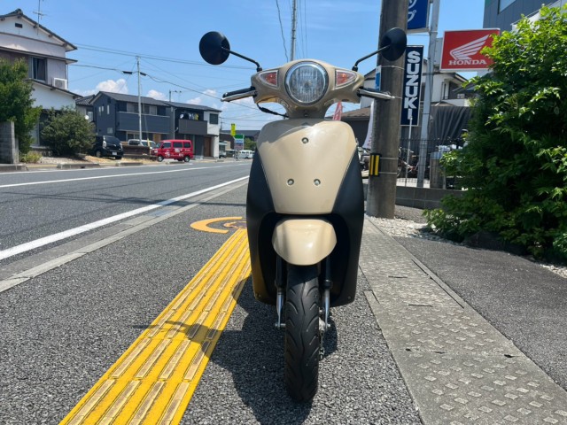 �X�Y�L���b�c�i���m�����m�s�j�摜3