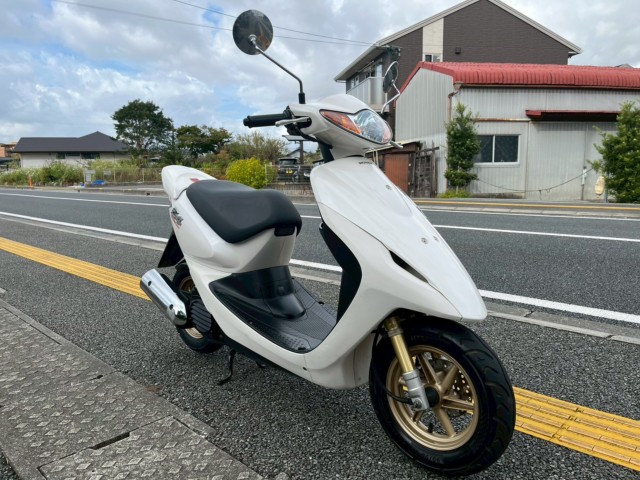 z_X}[gfBIZ4immsj摜4