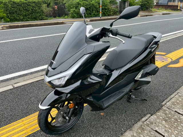 �z���_PCX�i���m�����m�s�j�摜4