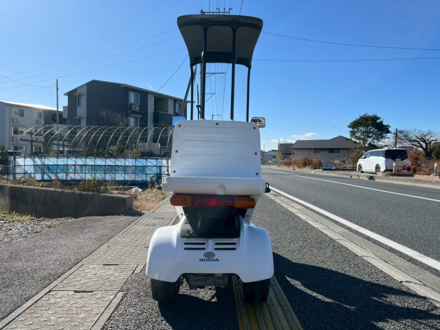 �z���_�W���C���L���m�s�[�i���m�����m�s�j�摜7