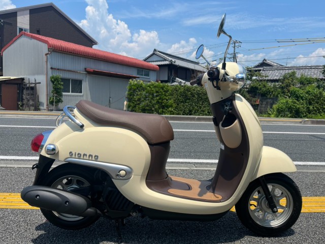 �z���_�W�����m�i���m�����m�s�j�摜1