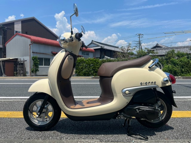 �z���_�W�����m�i���m�����m�s�j�摜2