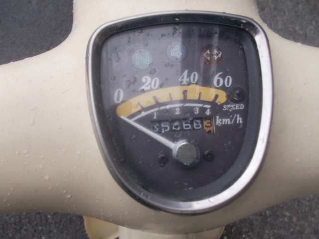 �z���_���g���J�u�i���m������s�j�摜2