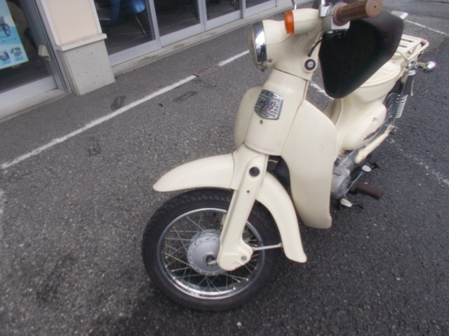 �z���_���g���J�u�i���m������s�j�摜15