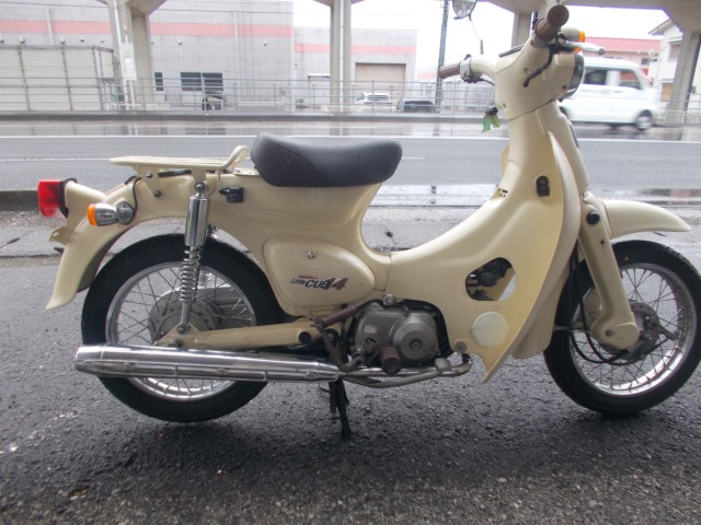 �z���_���g���J�u�i���m������s�j�摜3