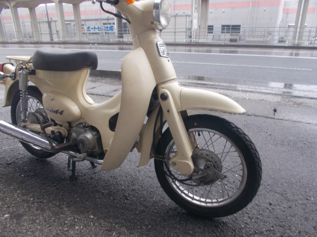 �z���_���g���J�u�i���m������s�j�摜12