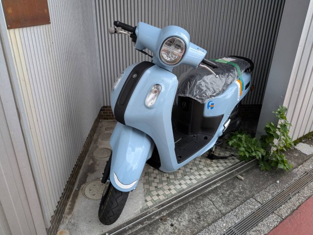 ���}�nFazzio�i���m�����m�s�j�摜2