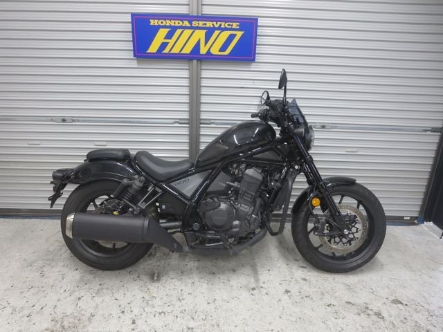 �z���_���u��1100�i���Q���ɗ\�S�u�����j�摜1