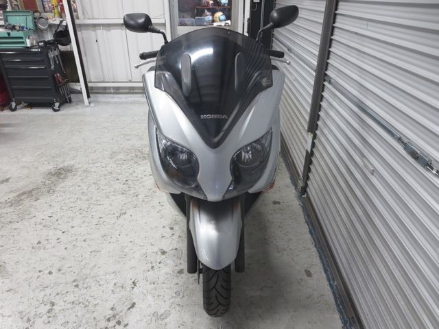�z���_�t�H���c�@�y�i���Q���ɗ\�S�u�����j�摜2