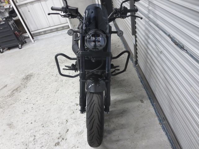 �z���_���u��1100�i���Q���ɗ\�S�u�����j�摜2
