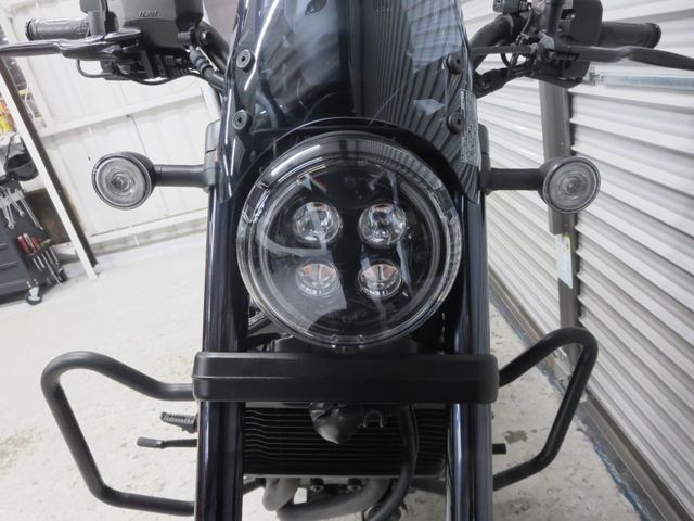 �z���_���u��1100�i���Q���ɗ\�S�u�����j�摜3