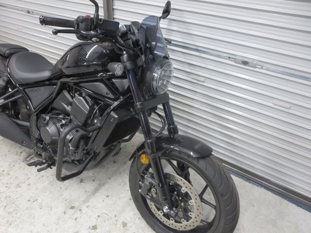�z���_���u��1100�i���Q���ɗ\�S�u�����j�摜7