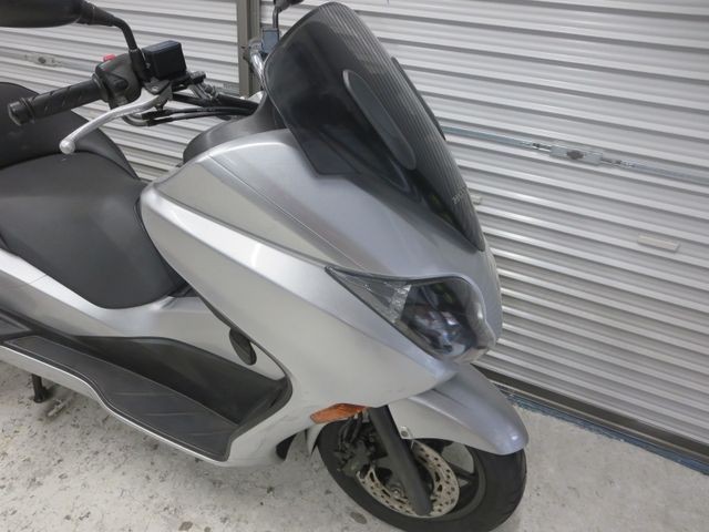 �z���_�t�H���c�@�y�i���Q���ɗ\�S�u�����j�摜8