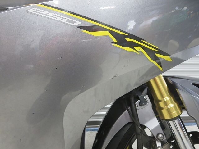 z_CBR250RRiQɗ\Suj摜10