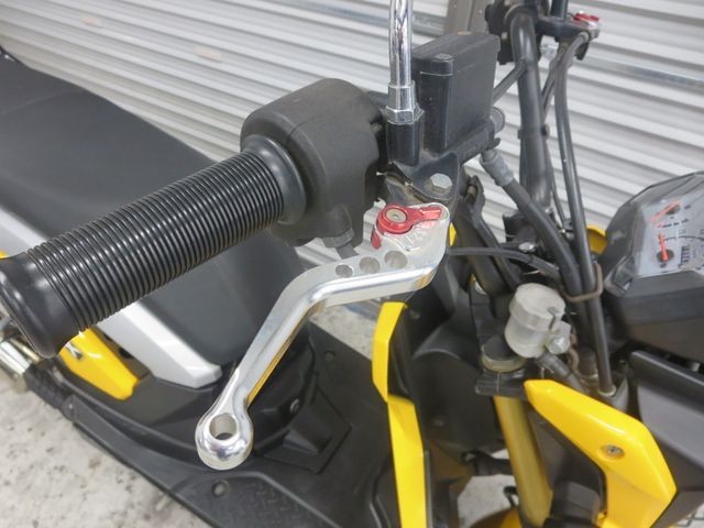 �z���_�Y�[�}�[X�i���Q���ɗ\�S�u�����j�摜10