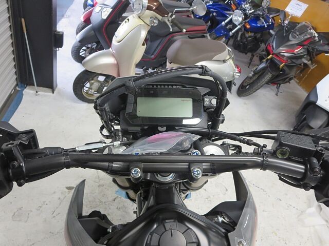 z_CRF250LiQɗ\Suj摜13