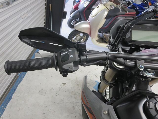 z_CRF250LiQɗ\Suj摜15