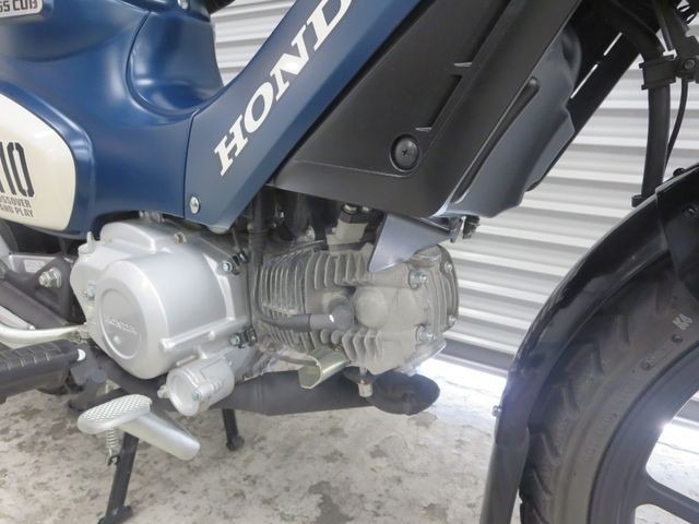 �z���_�N���X�J�u110�i���Q���ɗ\�S�u�����j�摜15