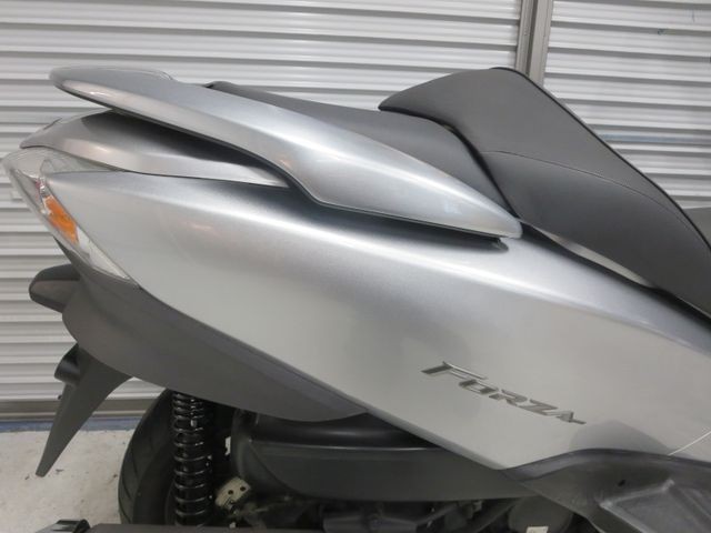 �z���_�t�H���c�@�y�i���Q���ɗ\�S�u�����j�摜20