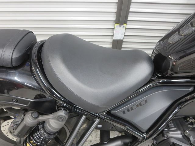 �z���_���u��1100�i���Q���ɗ\�S�u�����j�摜20