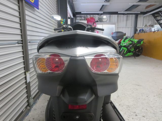 �z���_�t�H���c�@�y�i���Q���ɗ\�S�u�����j�摜24