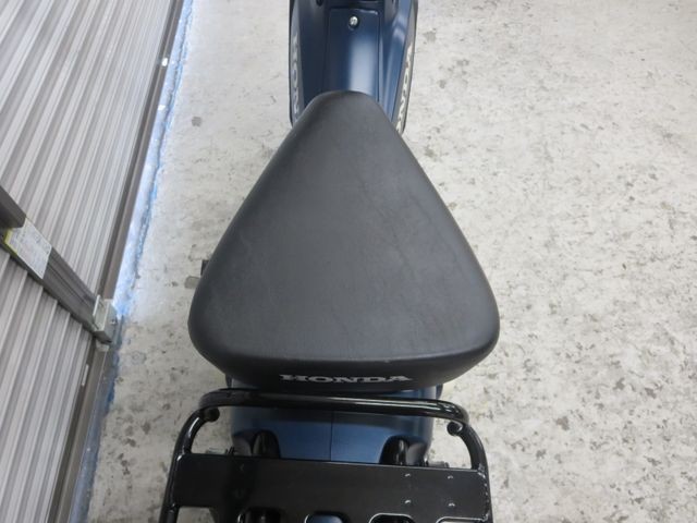 �z���_�N���X�J�u110�i���Q���ɗ\�S�u�����j�摜25