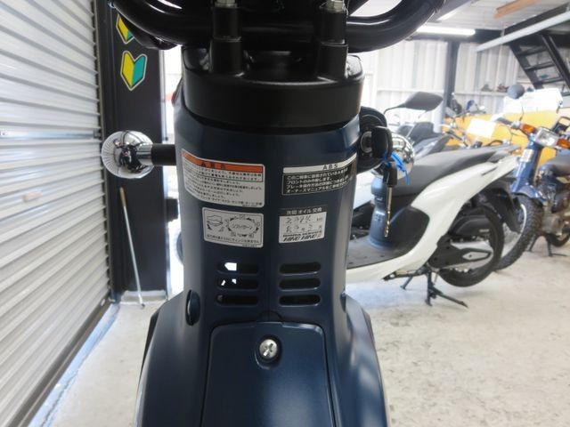 �z���_�N���X�J�u110�i���Q���ɗ\�S�u�����j�摜27