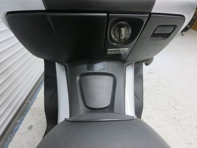 �z���_�t�H���c�@�y�i���Q���ɗ\�S�u�����j�摜28