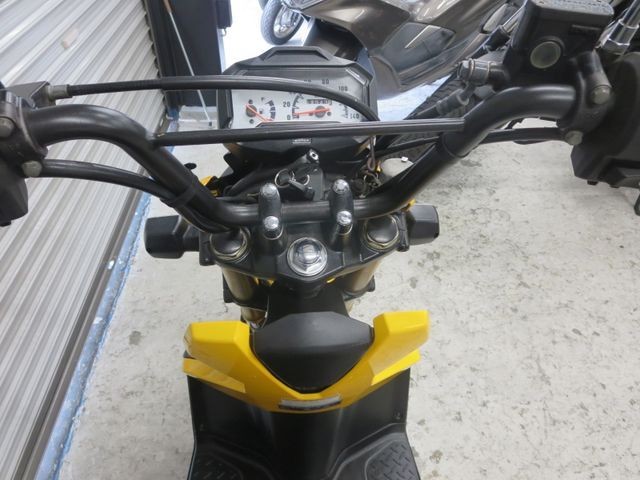 �z���_�Y�[�}�[X�i���Q���ɗ\�S�u�����j�摜31