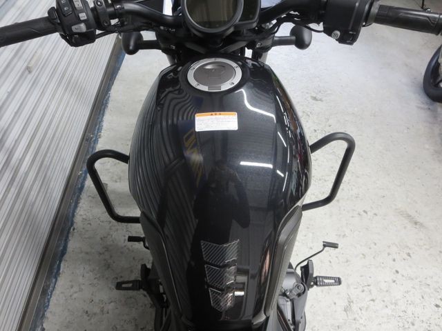�z���_���u��1100�i���Q���ɗ\�S�u�����j�摜32