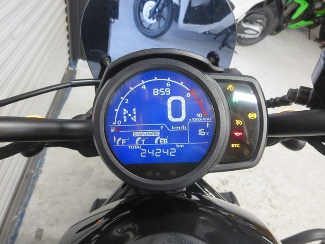 �z���_���u��1100�i���Q���ɗ\�S�u�����j�摜33