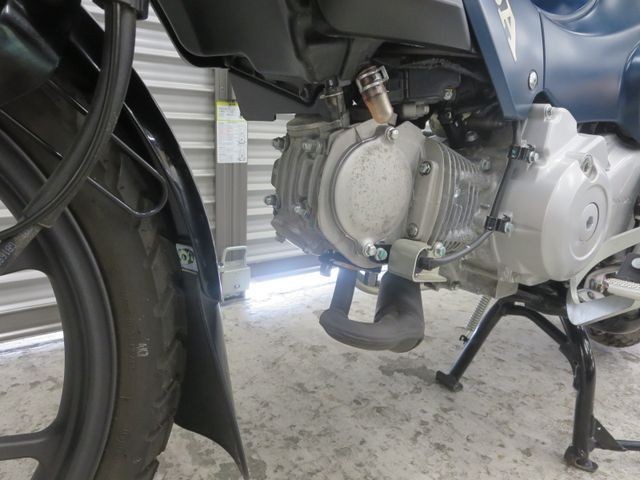 �z���_�N���X�J�u110�i���Q���ɗ\�S�u�����j�摜35