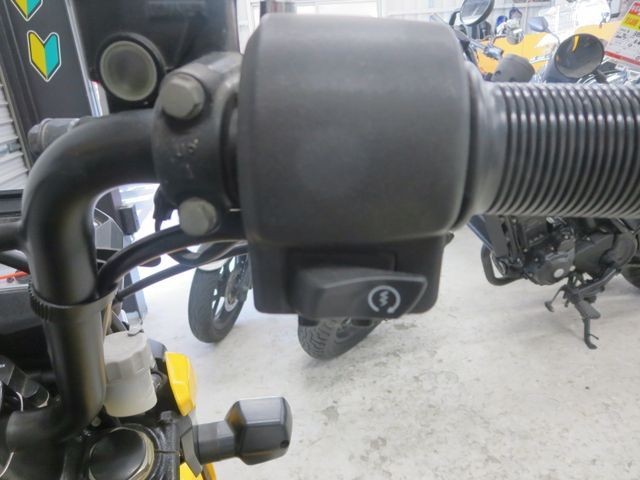 �z���_�Y�[�}�[X�i���Q���ɗ\�S�u�����j�摜36