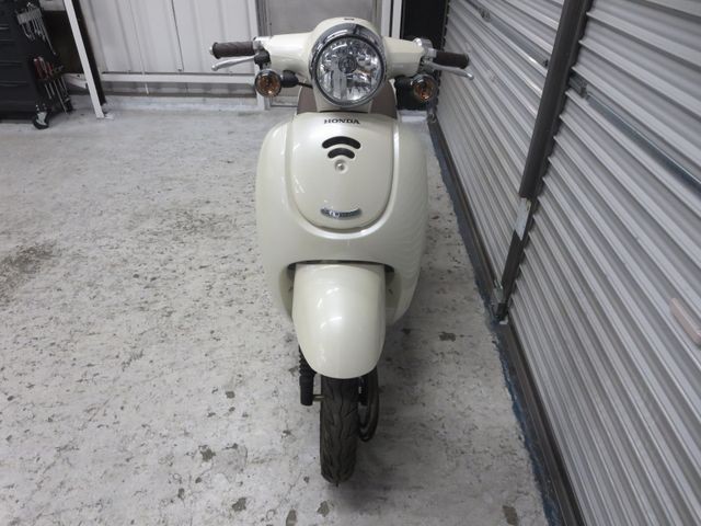 �z���_�W�����m�i���Q���ɗ\�S�u�����j�摜2