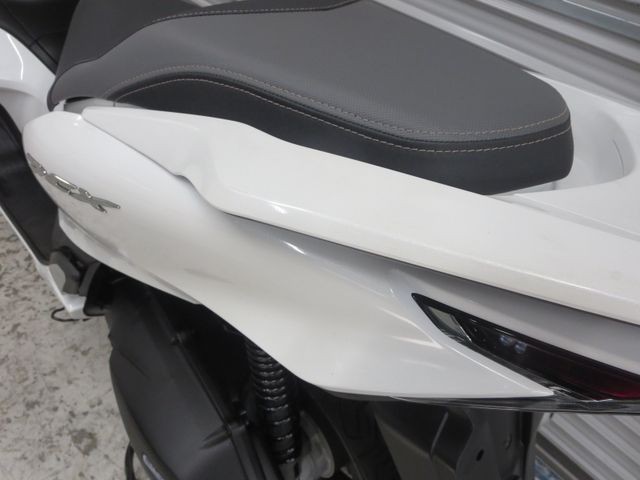 �z���_PCX�i���Q���ɗ\�S�u�����j�摜21
