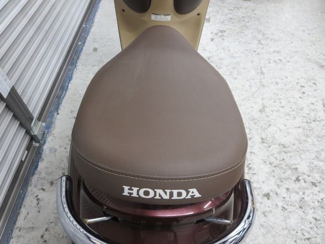 �z���_�W�����m�i���Q���ɗ\�S�u�����j�摜20