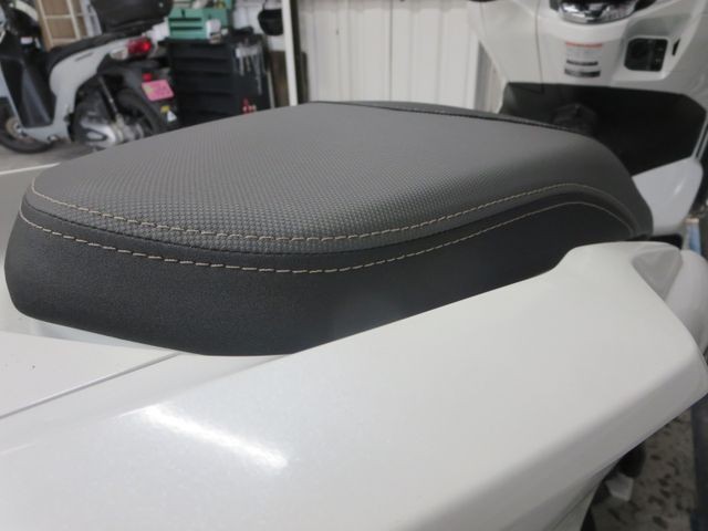 �z���_PCX�i���Q���ɗ\�S�u�����j�摜29