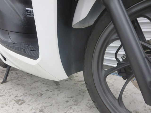 �z���_�f�B�I110�i���Q���ɗ\�S�u�����j�摜11