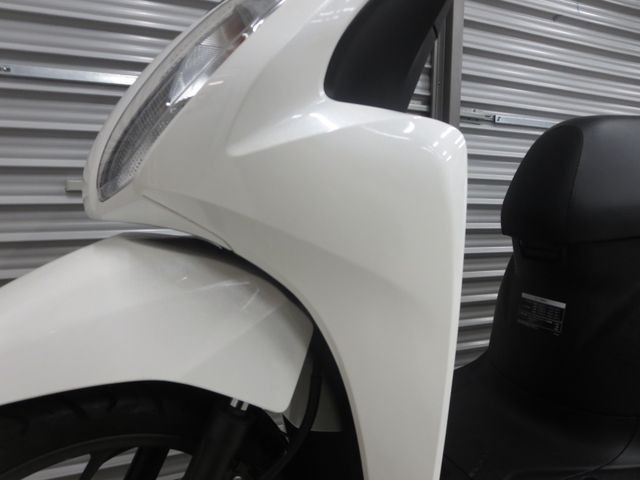 �z���_�f�B�I110�i���Q���ɗ\�S�u�����j�摜20