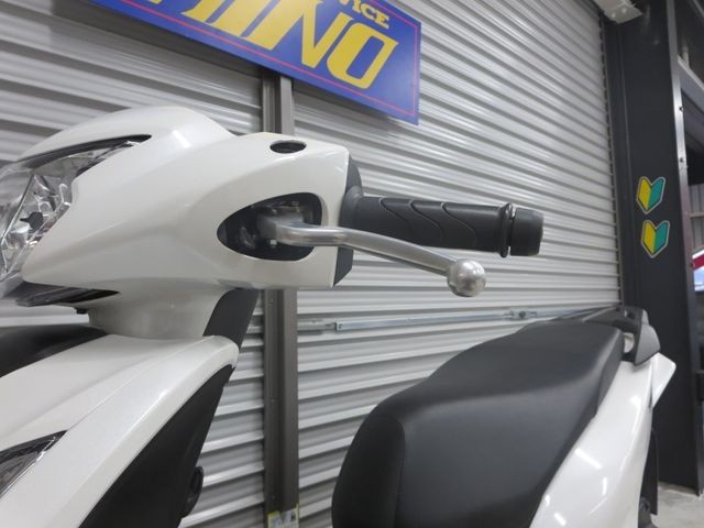 �z���_�f�B�I110�i���Q���ɗ\�S�u�����j�摜21