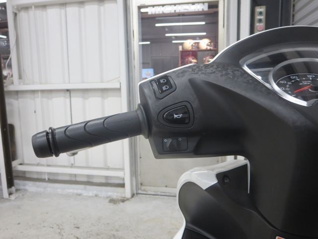 �z���_�f�B�I110�i���Q���ɗ\�S�u�����j�摜27