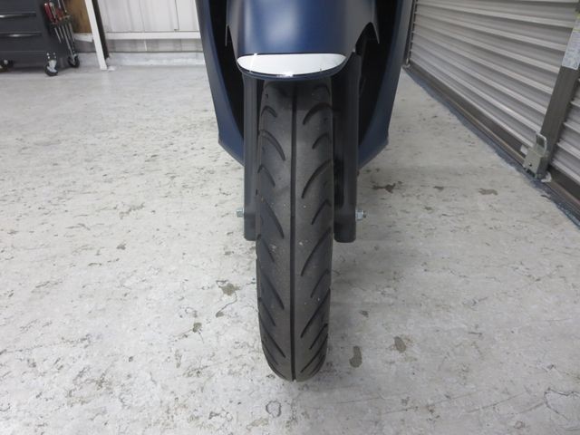 �z���_�f�B�I110�i���Q���ɗ\�S�u�����j�摜5